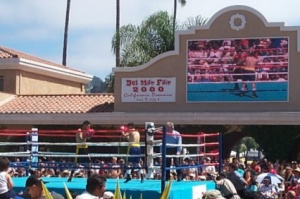 Live boxing match