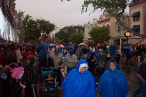 The mass exodus after the rain
